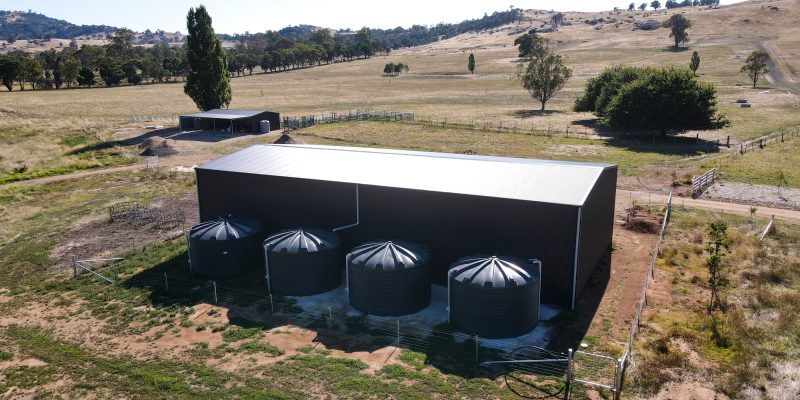 How Buffalo Built Designs Stand Out in Sheds Wangaratta